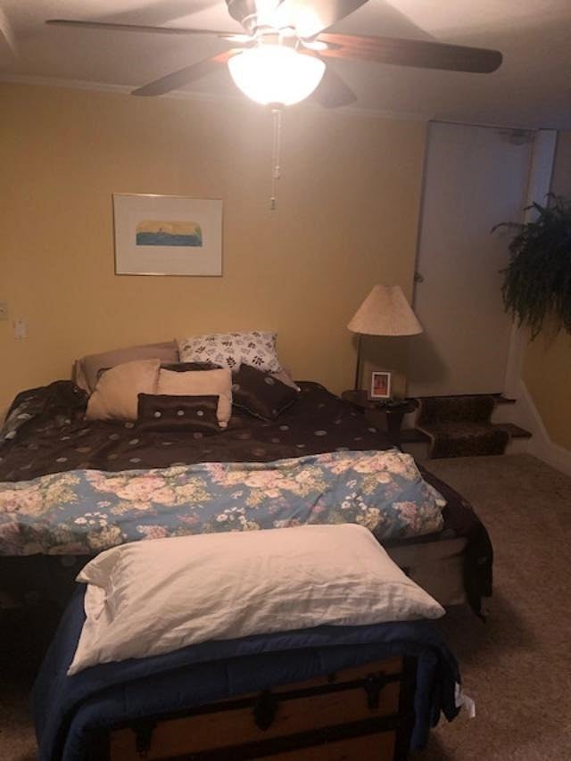 Furnished Finder property 856819_1 photo 6