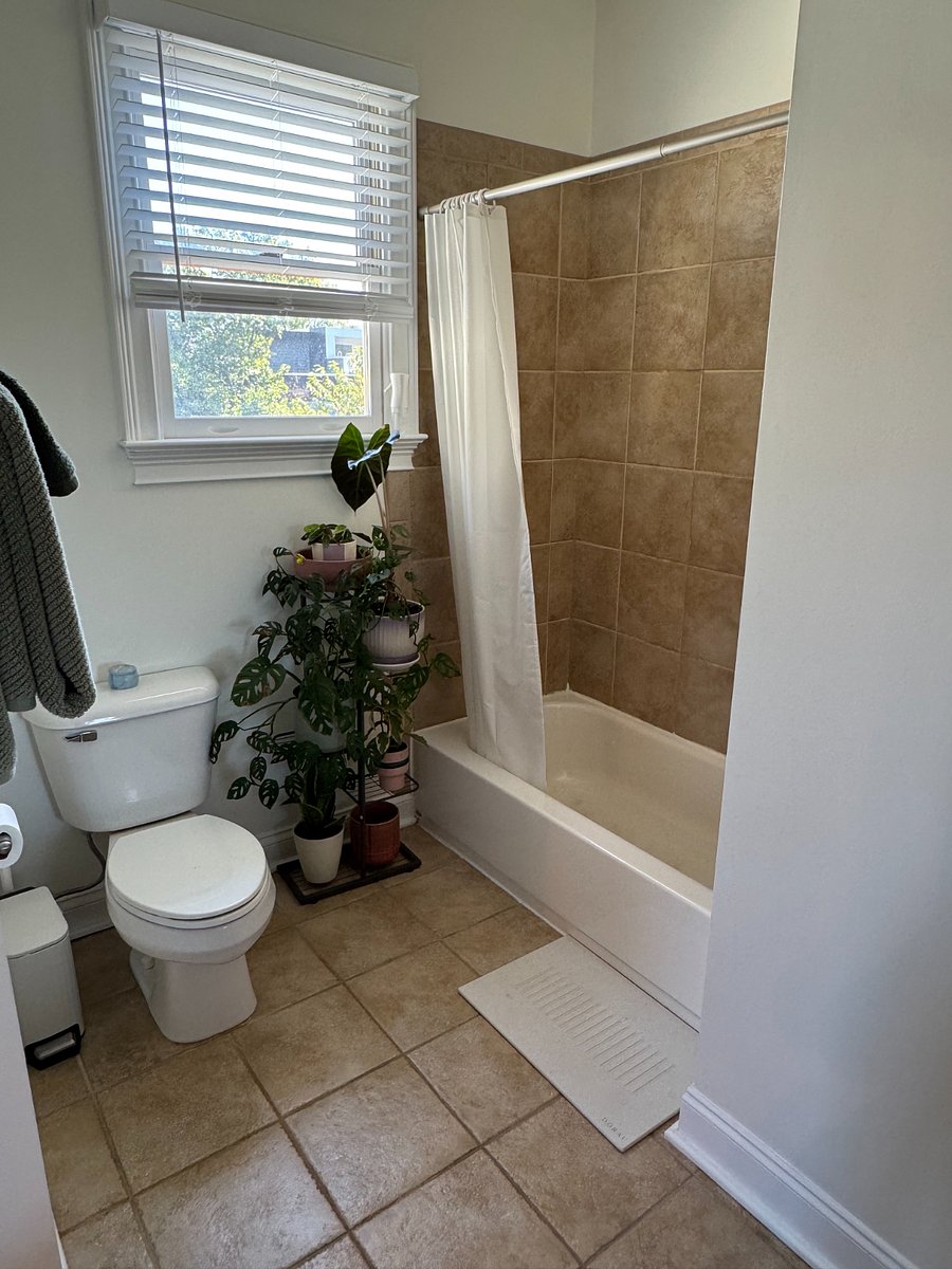 Furnished Finder property 856866_2 photo 5