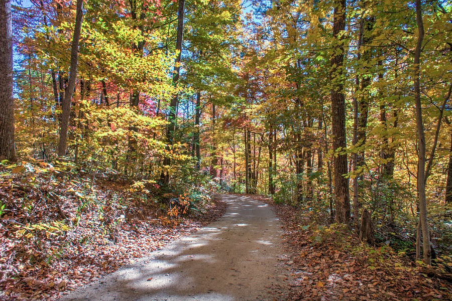 Winding, single-lane gravel road leads up to this little slice of paradise.