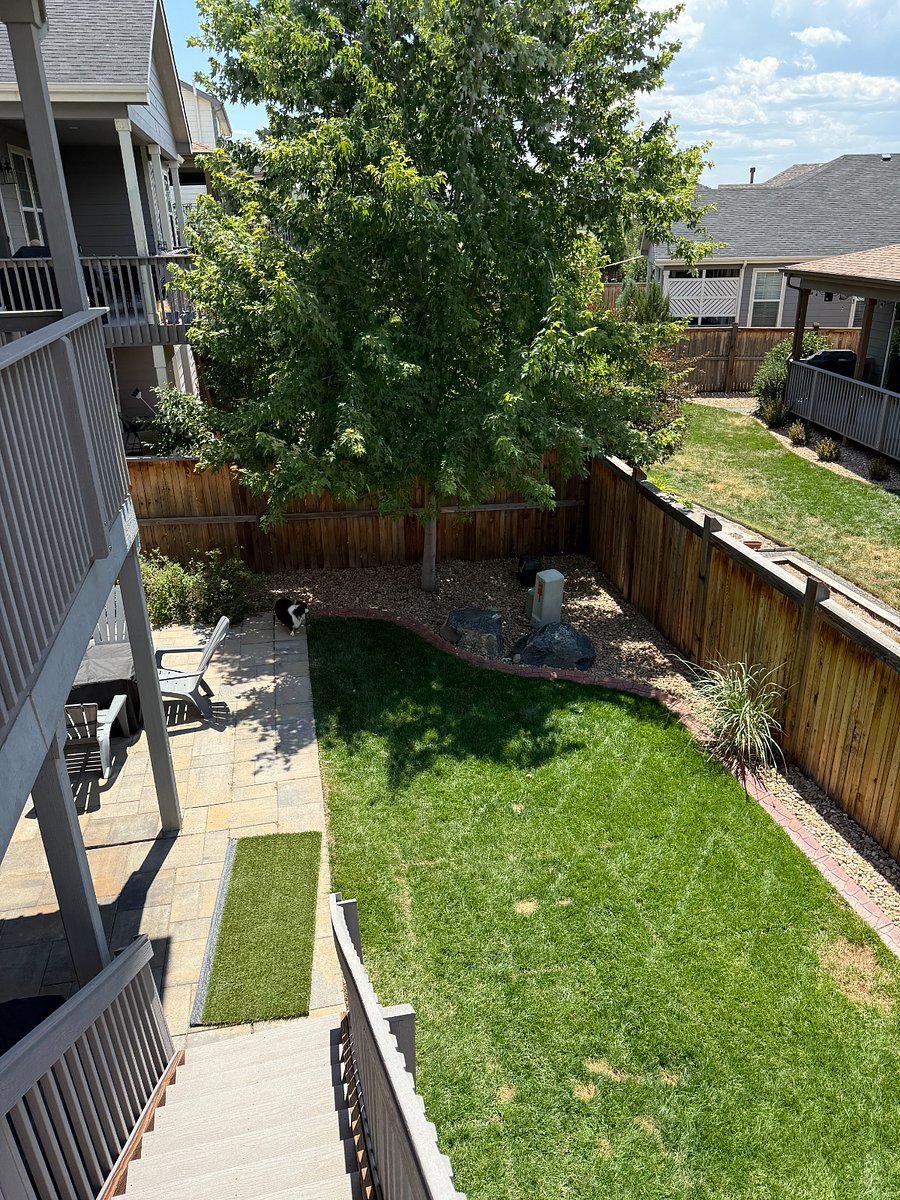 Furnished Finder property 856910_1 photo 12
