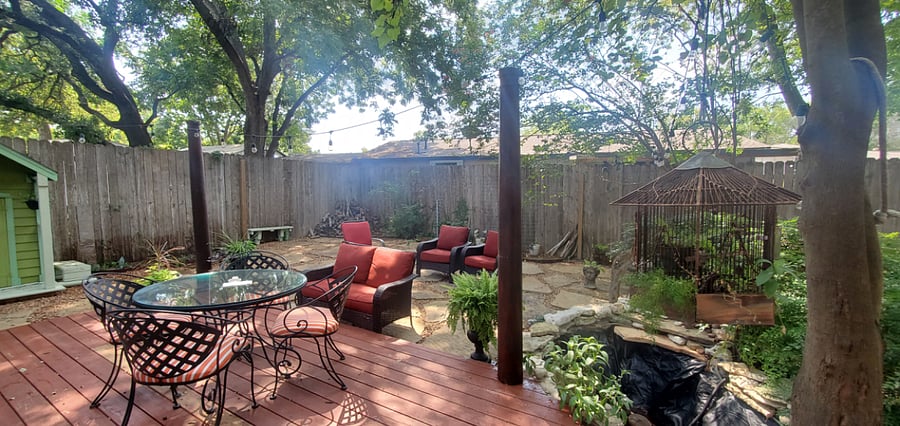 Backyard and garden