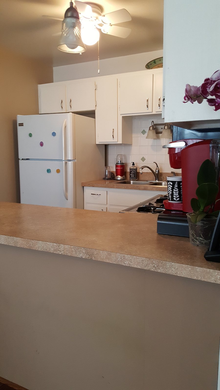 Furnished Finder property 857000_1 photo 8