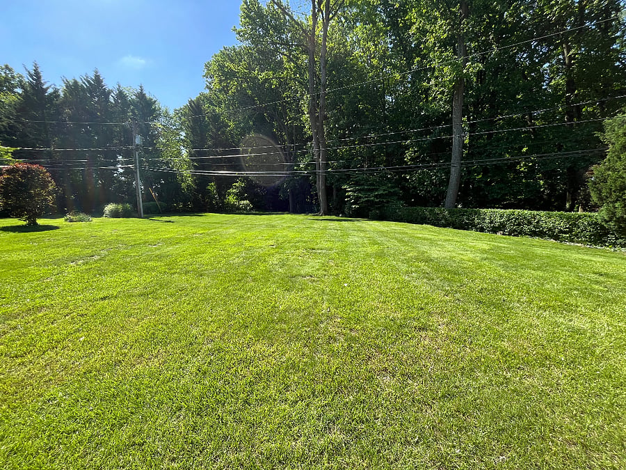 Large Level Yard