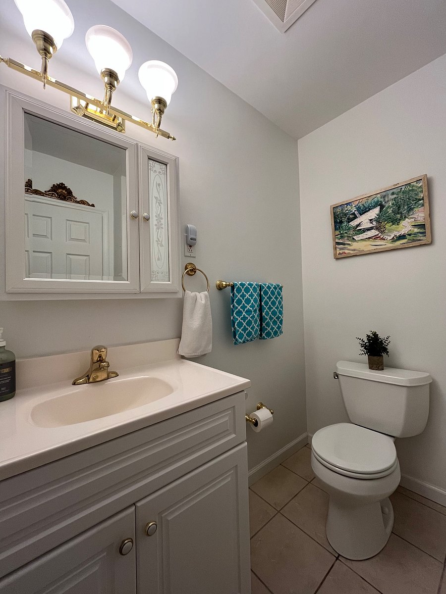 Downstairs Hall Bath