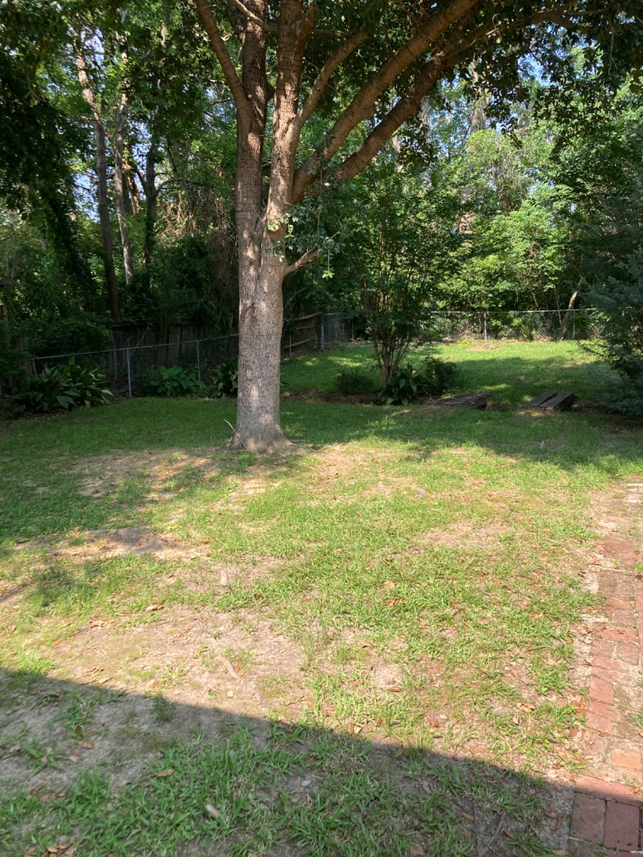 Furnished Finder property 857089_1 photo 10