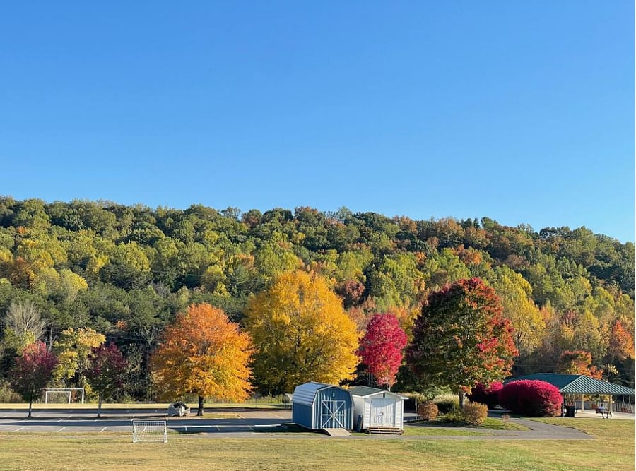 Tommy Schumpert Park with some colored leaves