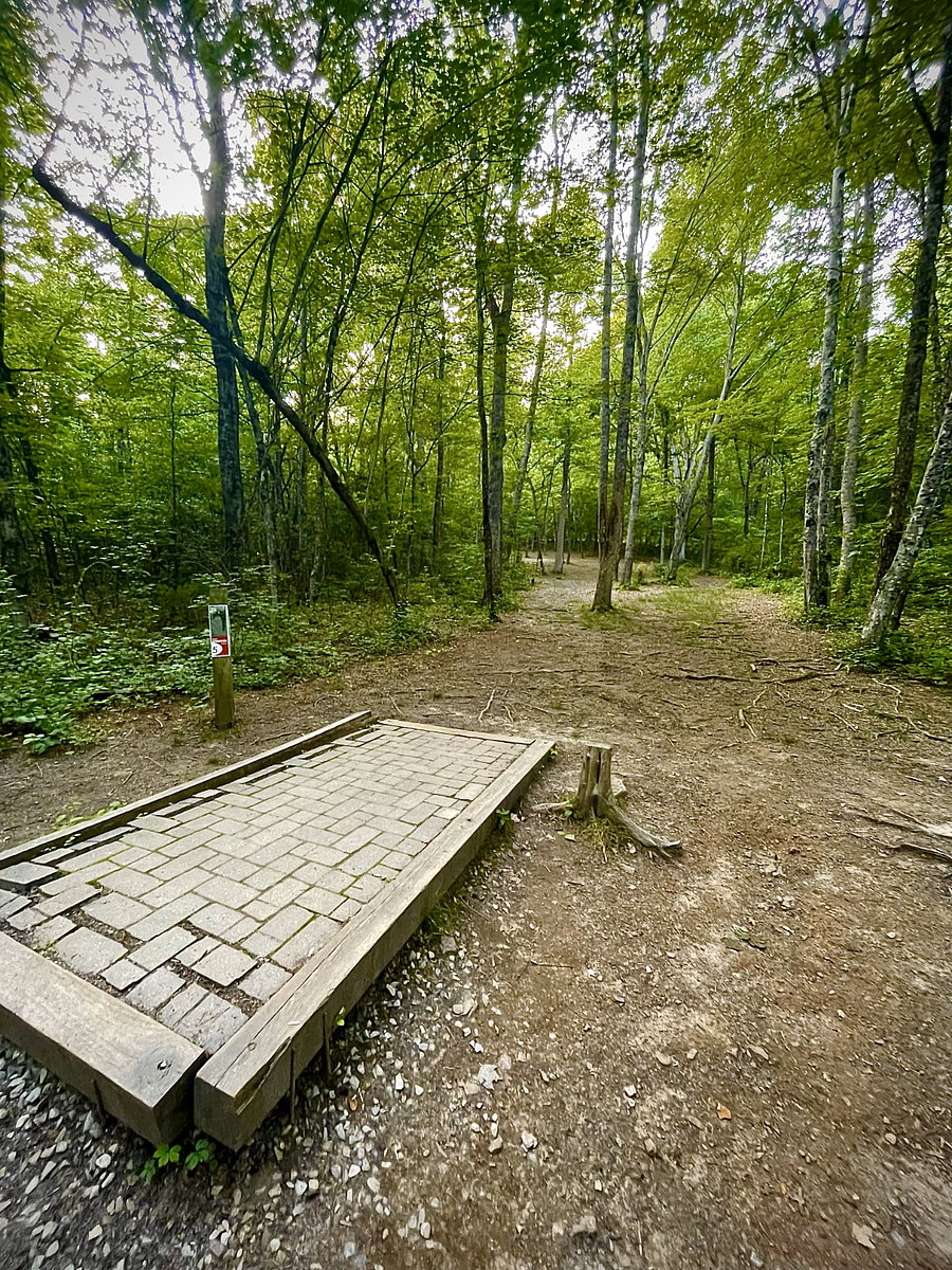 One of the disc golf platforms
