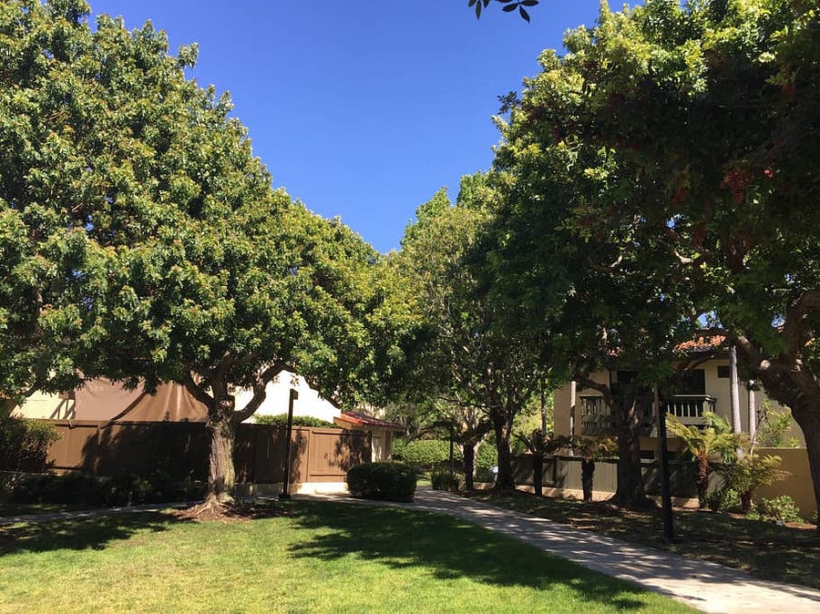 Furnished Finder property 857198_1 photo 13