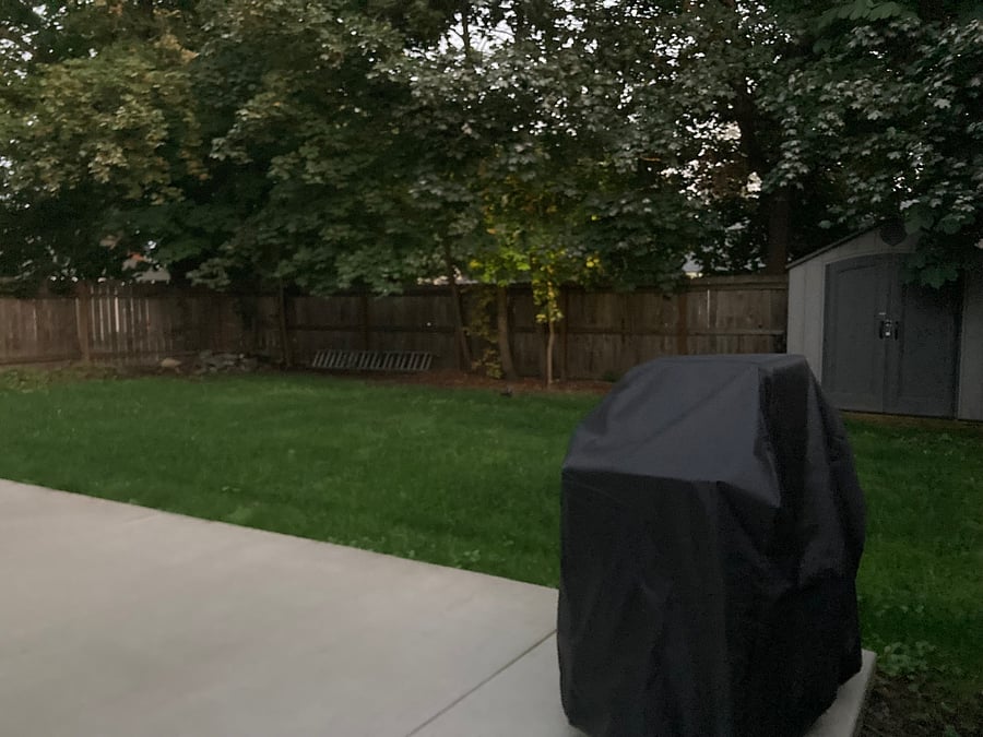 Fenced in backyard