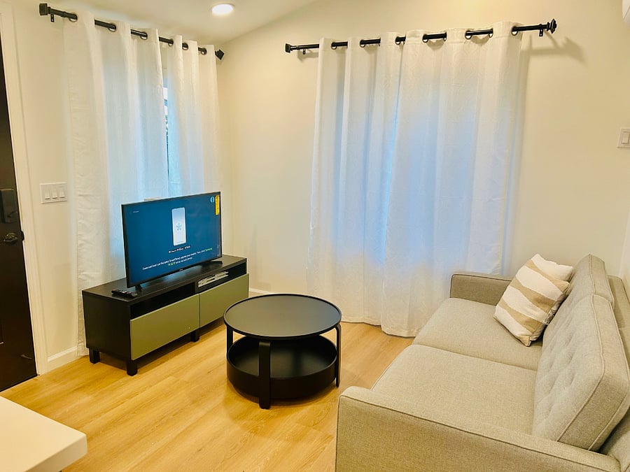 West Elm Sofa with Samsung Smart TV