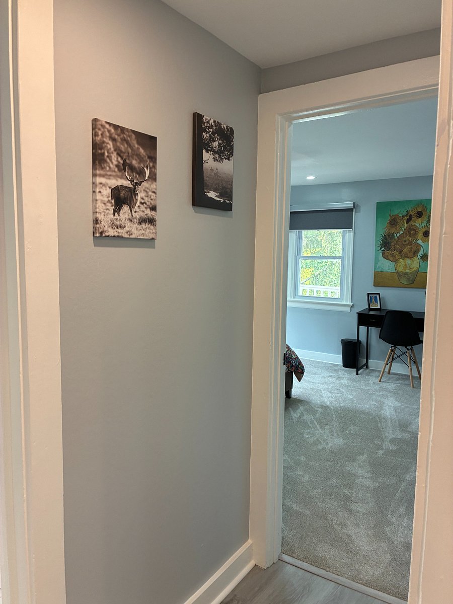 Furnished Finder property 857516_1 photo 41