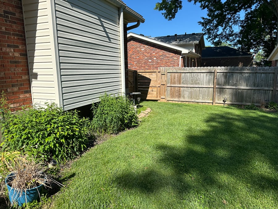backyard area