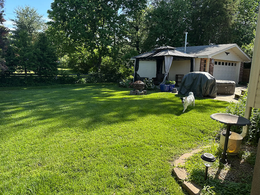 backyard area