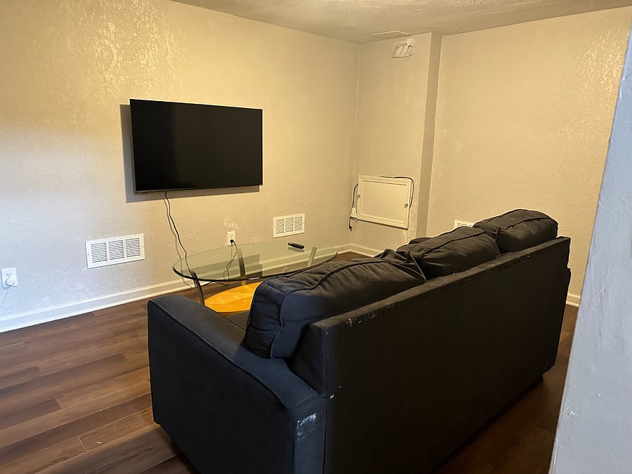 Basement Lounge w/ pull out sofa