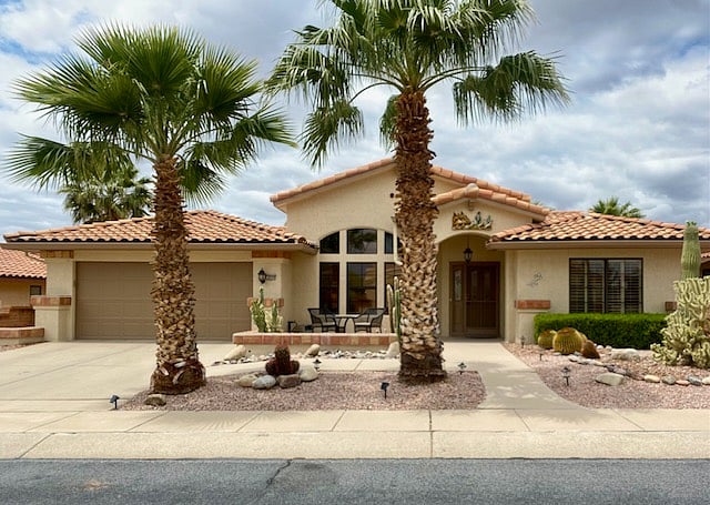 Beautiful palm tree framed entrance with landscape lighting.