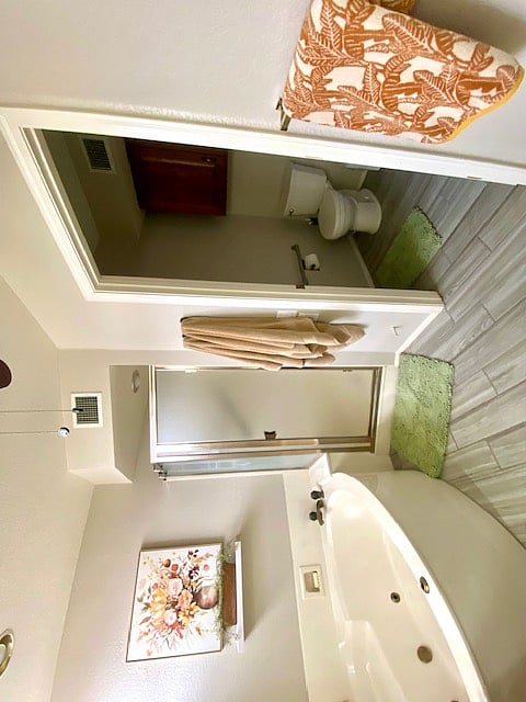 Master bath and shower area
