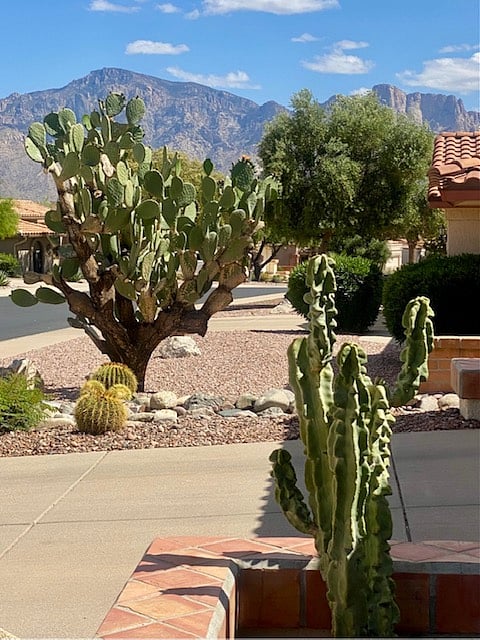 Front yard views of Catalinas