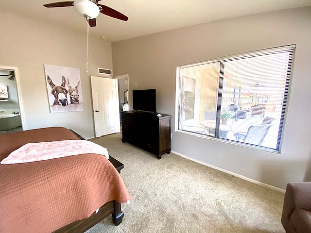 Master bedroom tv and view of Catalinas