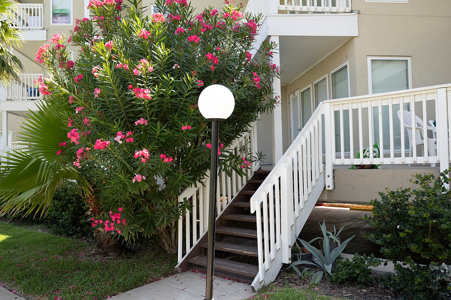 Furnished Finder property 857736_1 photo 10