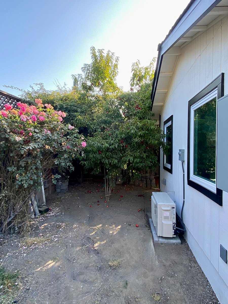 Side yard