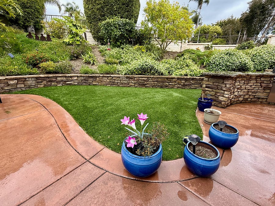 back yard