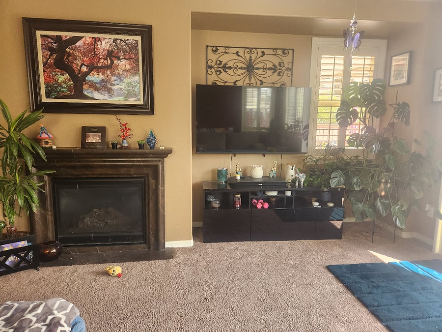 Furnished Finder property 858005_1 photo 10