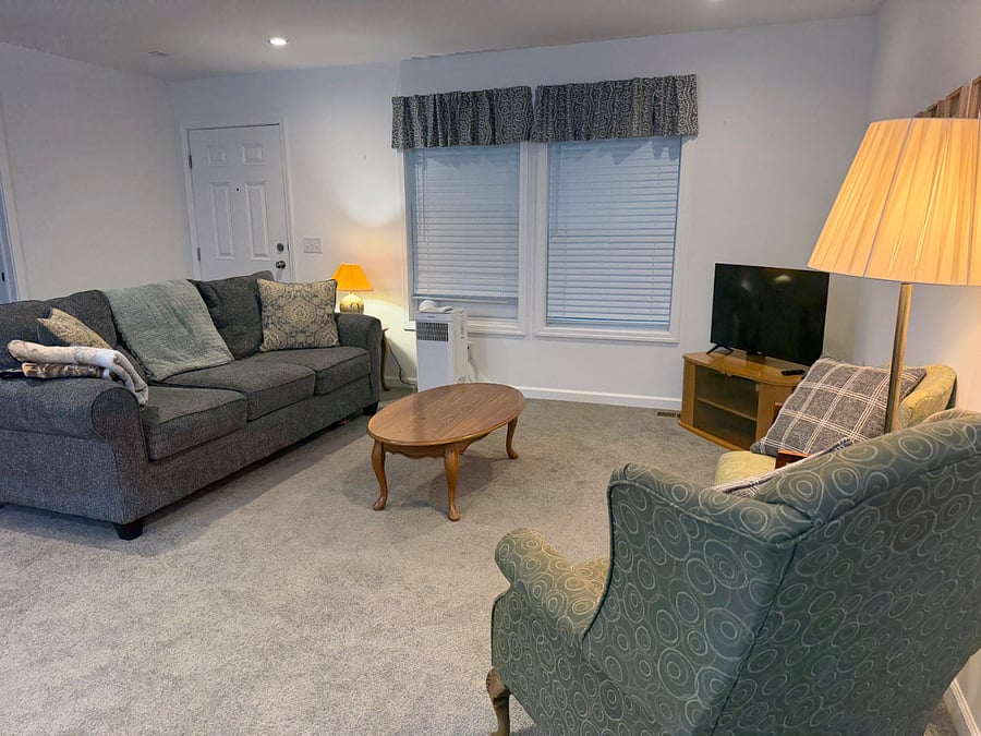 Living room with Roku tv.