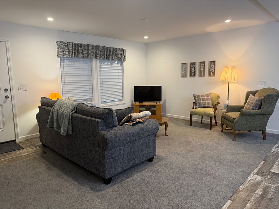 Living room with Roku tv.