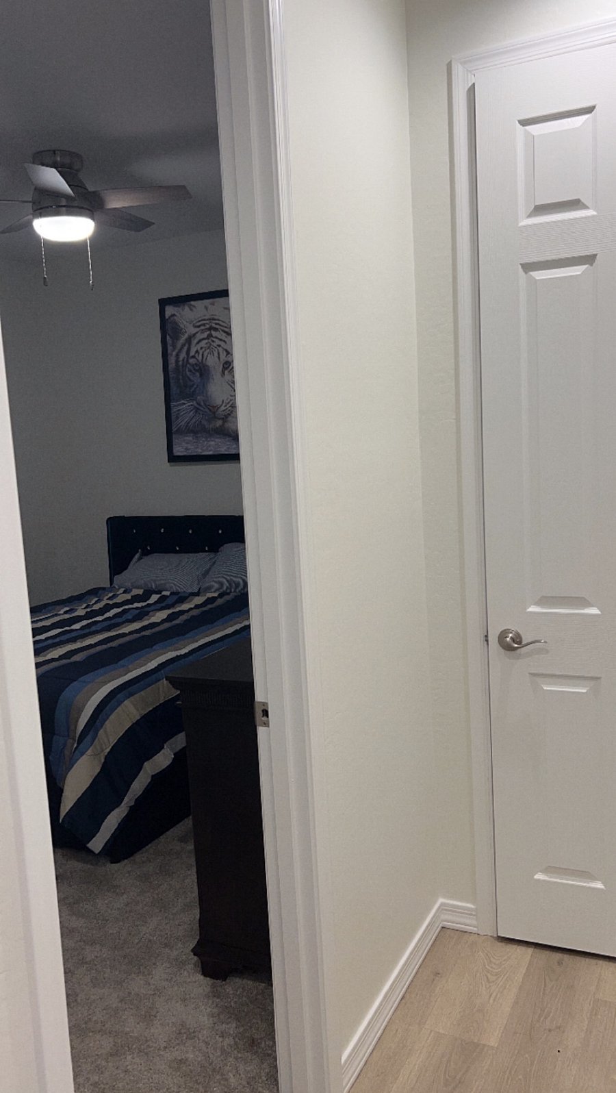 Furnished Finder property 858100_1 photo 8