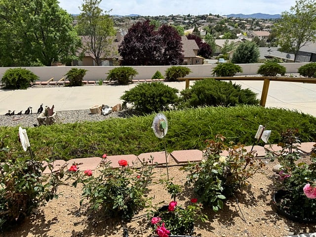 Large yard with 3' fence.