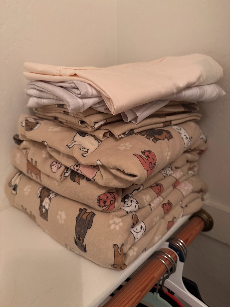 Extra 100% Cotton Sheets, including a set of Flannel Sheets in Back Bedroom