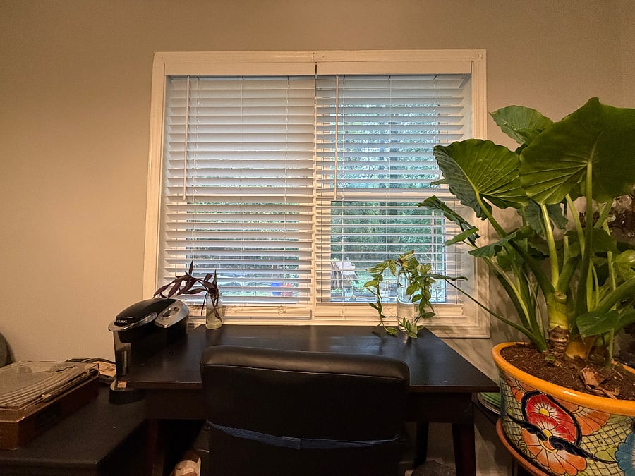 Furnished Finder property 858103_1 photo 14