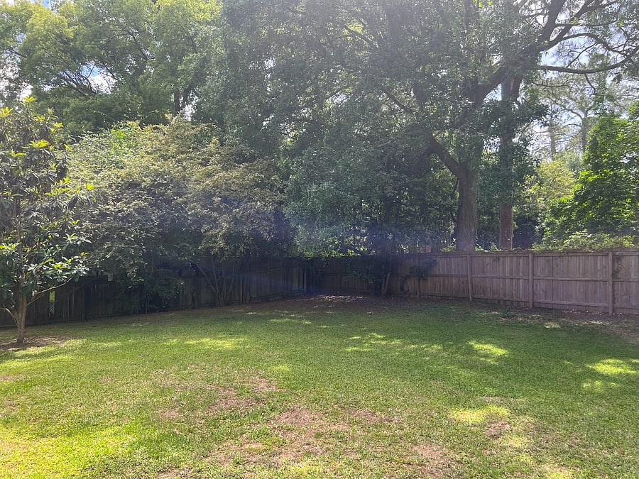 Furnished Finder property 858175_1 photo 11