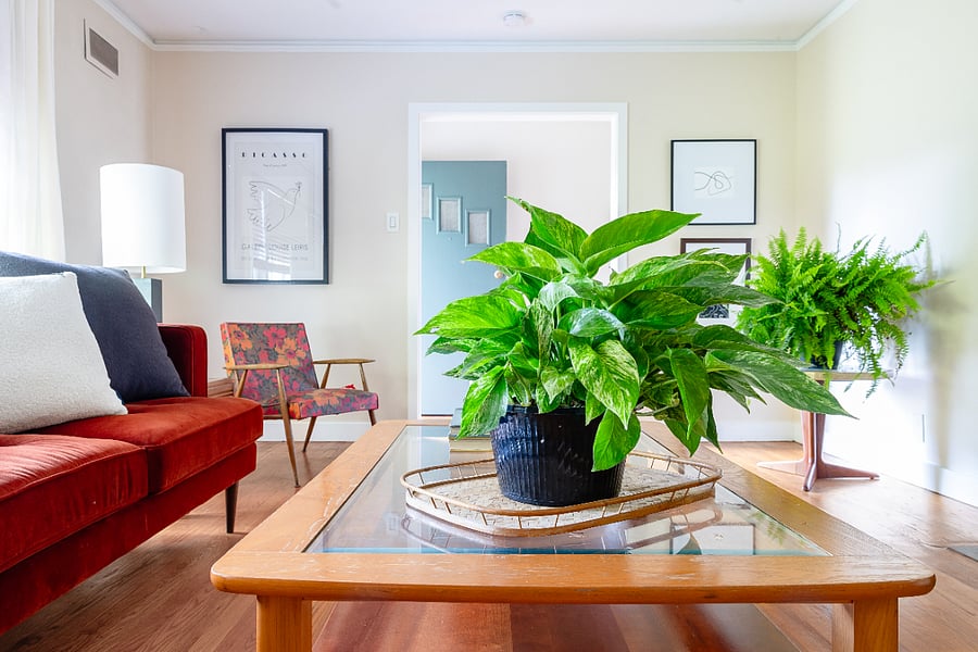 Furnished Finder property 858213_1 photo 6