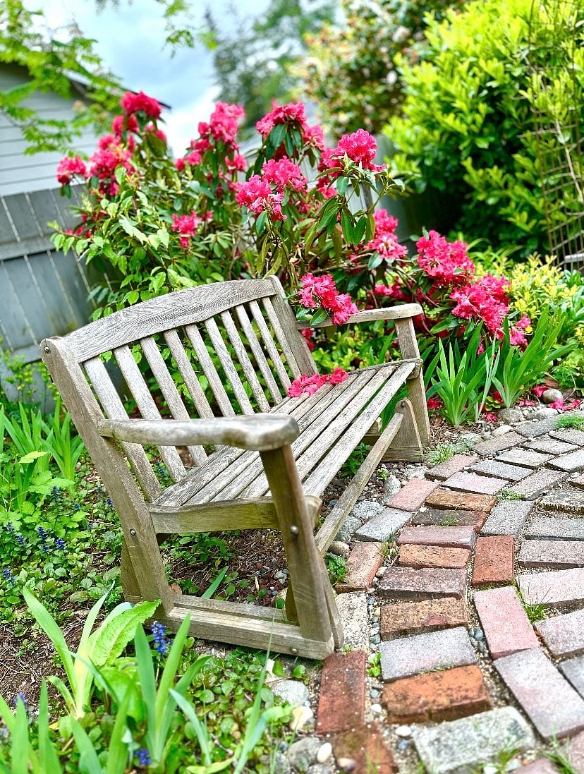 Upper level garden bench.