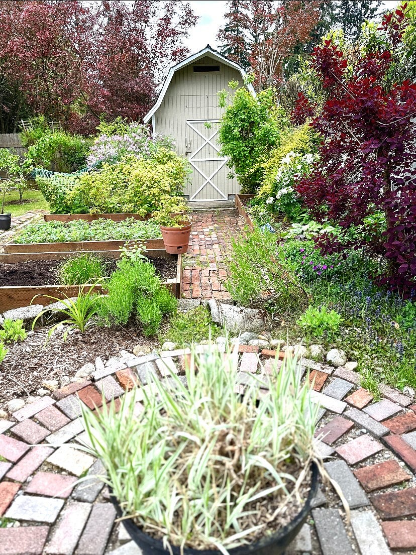 View from upper garden bench.