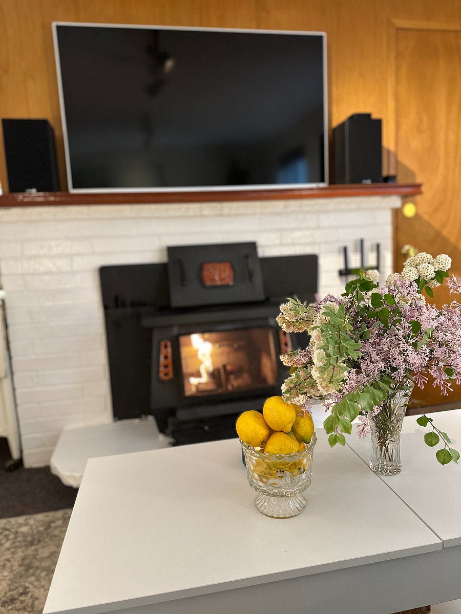 Envirologs are used in this older fireplace located just under the smart TV.
