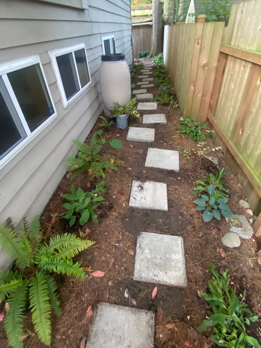 Shade garden and pathway outside of the bedroom windows.