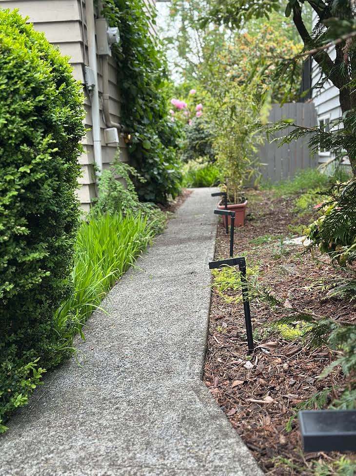 Pathway with solar walkway lights as well as stringed lights to guide you to the rear entrance.