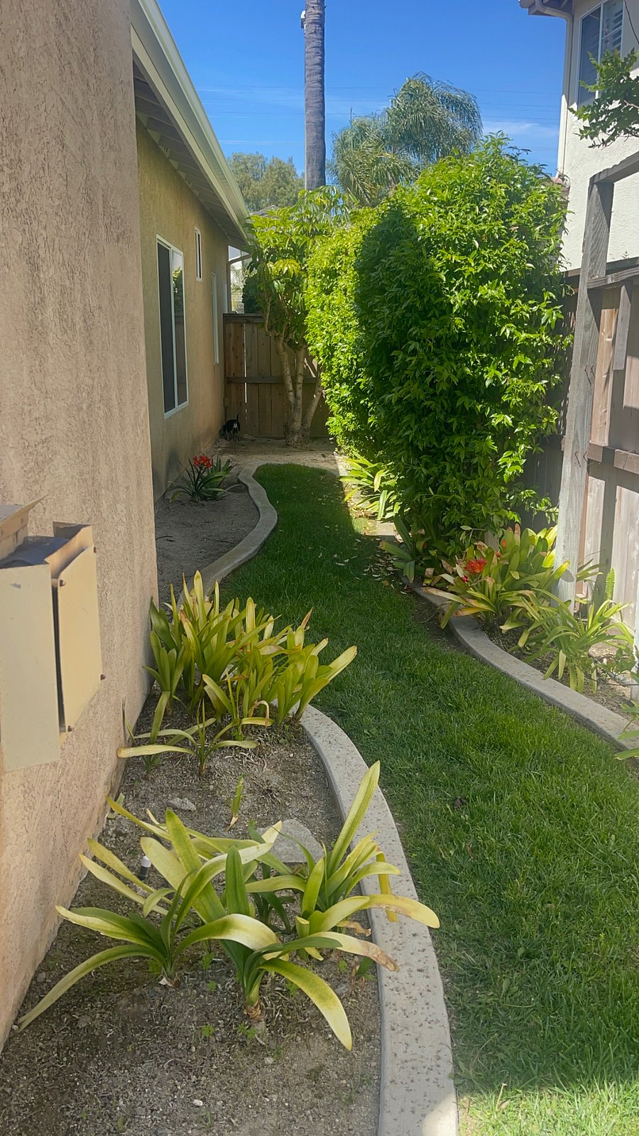 Furnished Finder property 858398_1 photo 9