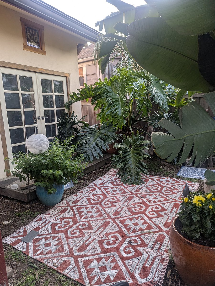 Back garden area with tiny house