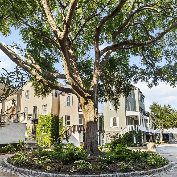 Rear Courtyard