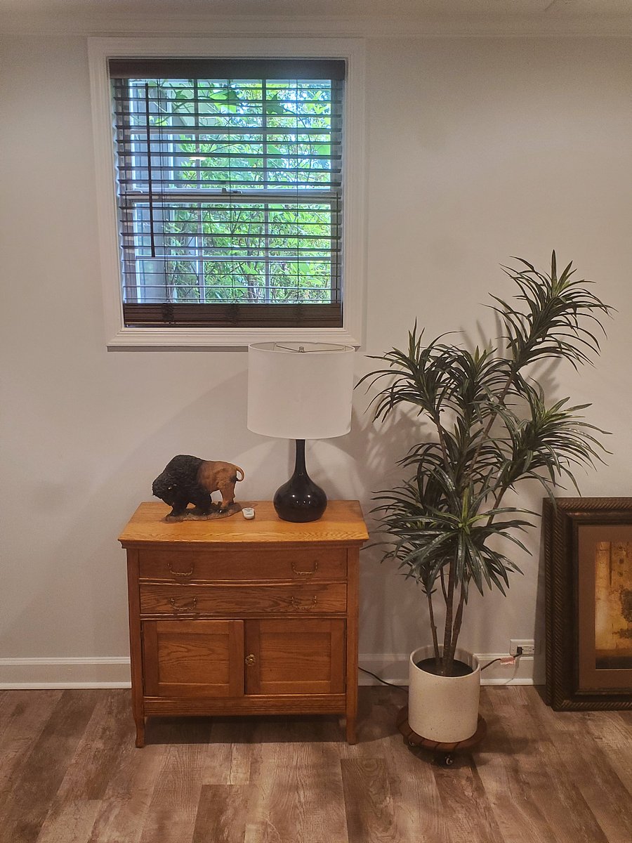Furnished Finder property 858887_1 photo 5