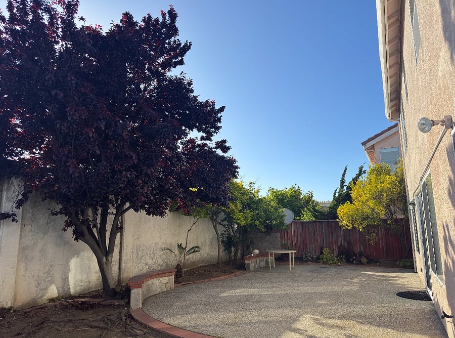 Furnished Finder property 858968_1 photo 12