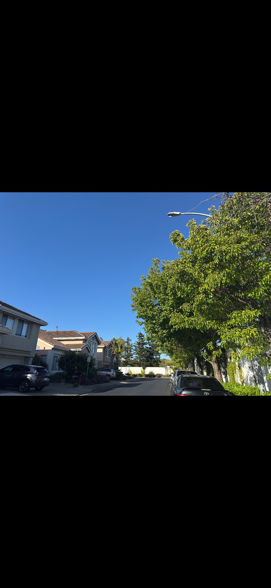 Furnished Finder property 858968_3 photo 13