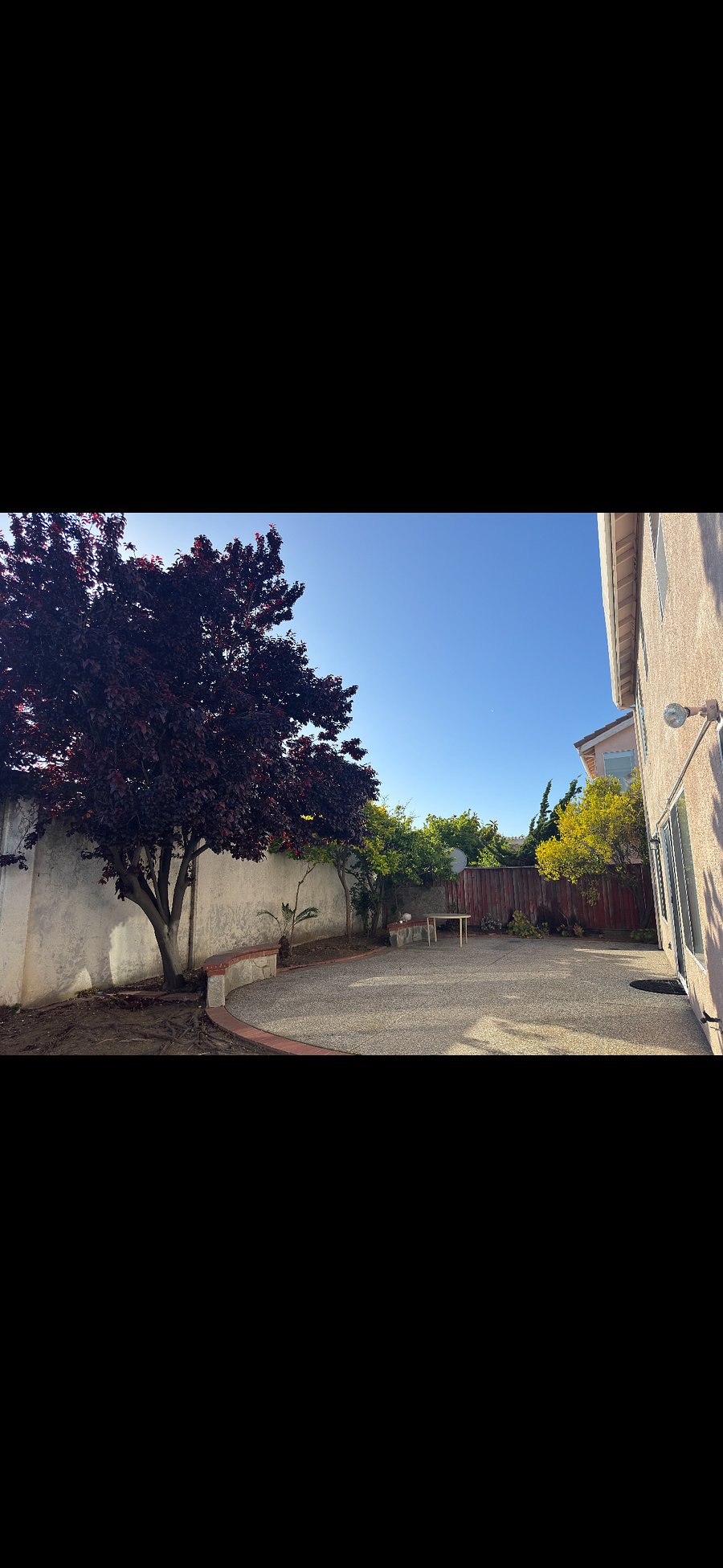 Furnished Finder property 858968_3 photo 11