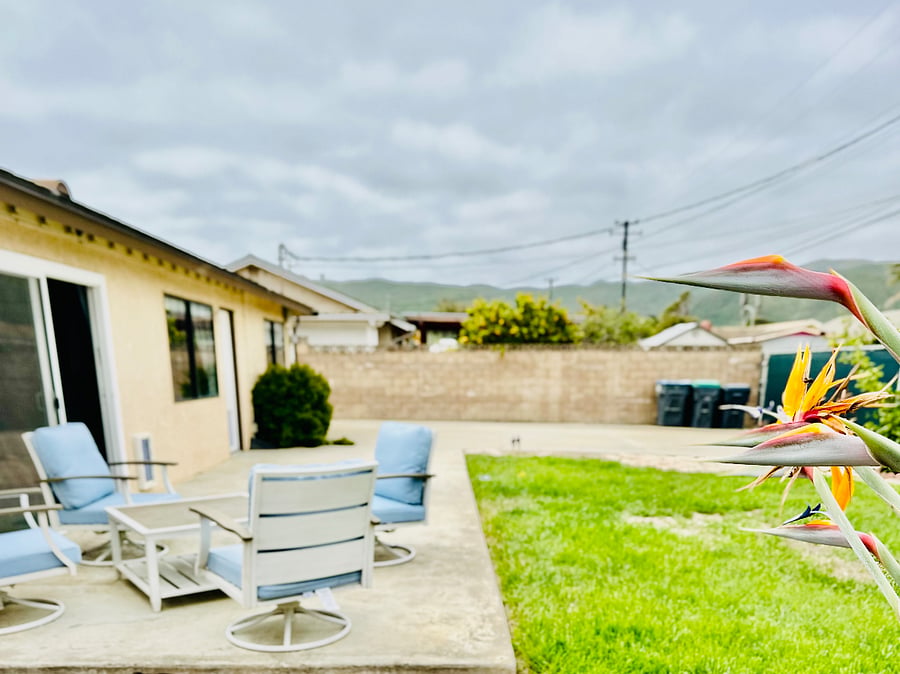 Grassy yard with fruit trees, outdoor seating, and extra space for parking.