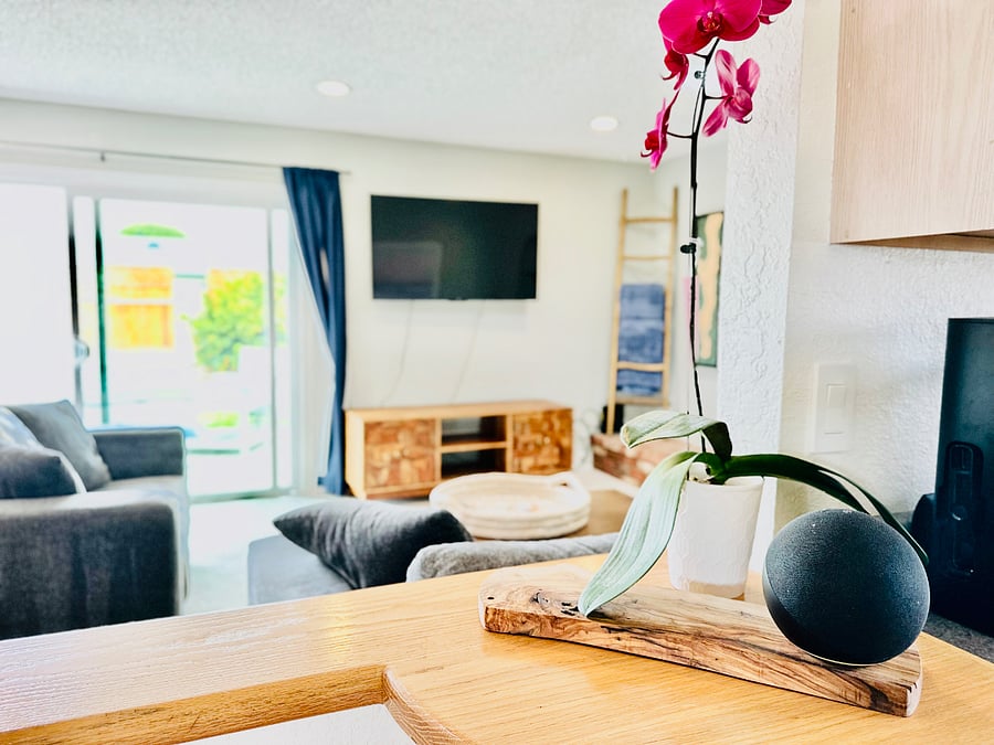 Alexa provided along with plants, and monthly housekeeping