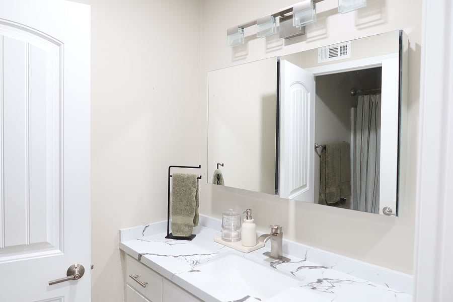 Guest Full Bathroom 