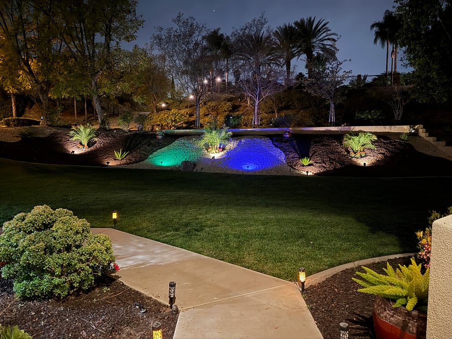 Room View and Front Yard